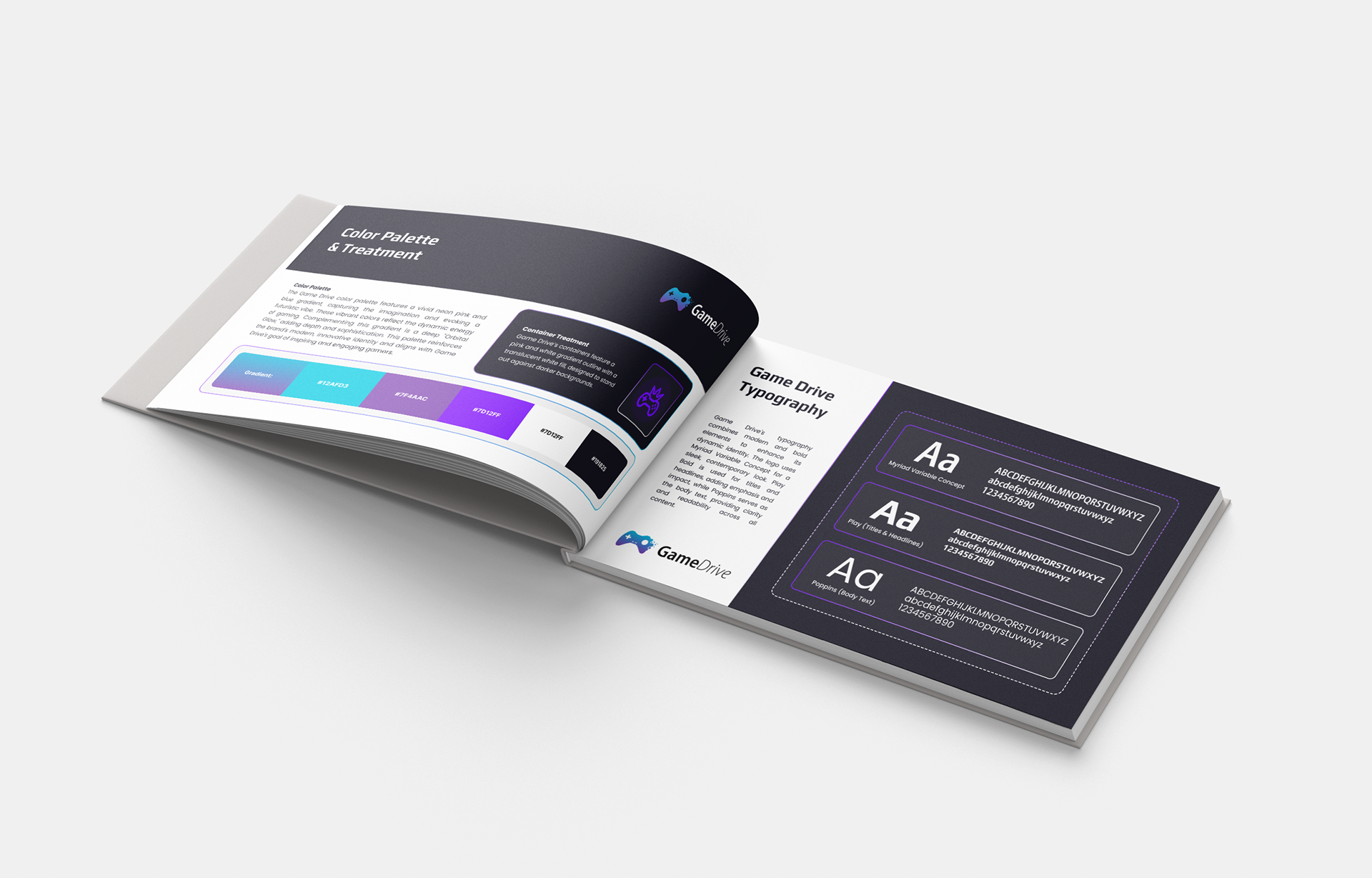 Game Drive Brand Guide 2