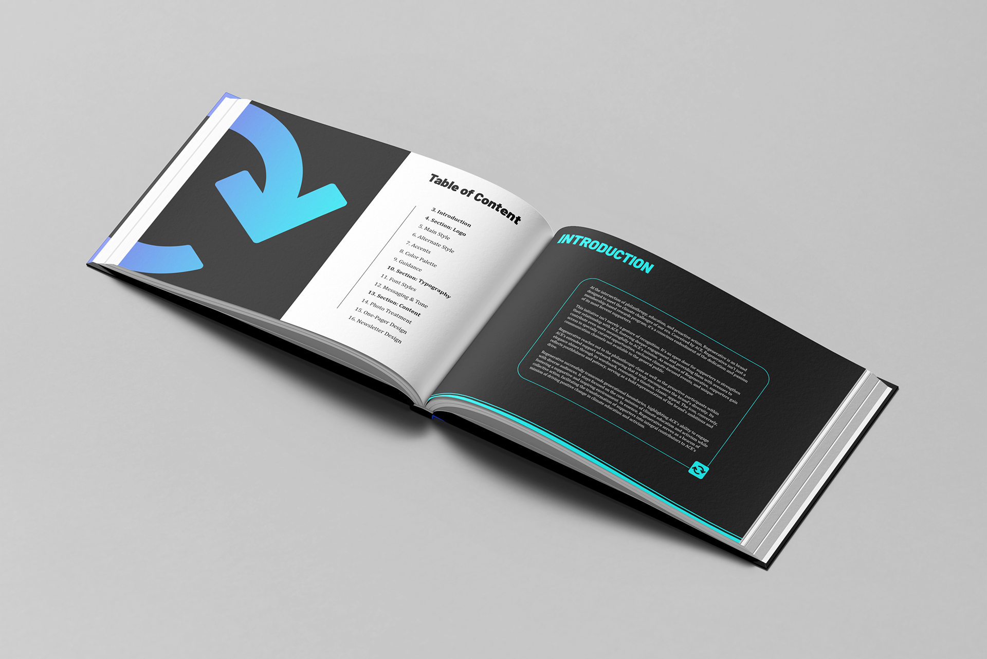 Regenerative Brand Guide 2